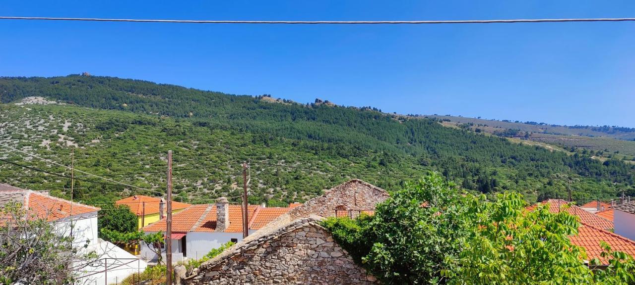 Holiday home Stella House Theologos (Thasos)