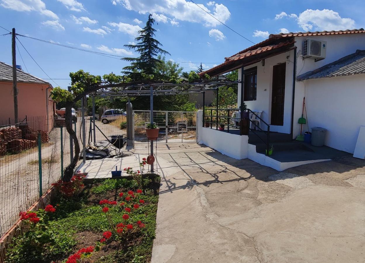 Stella House Theologos (Thasos)