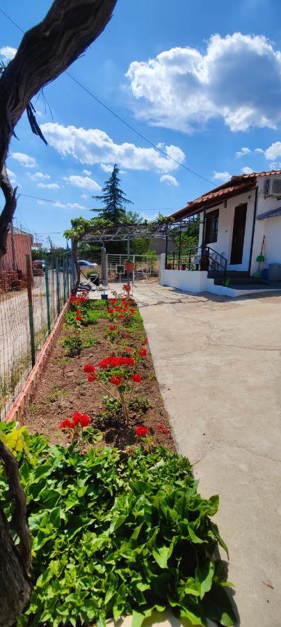 Stella House *